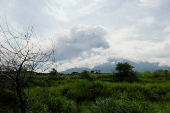 Guatemala's Fuego Volcano prompts evacuations amid increased volcanic activity