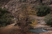 Chilean volunteers combat plastic waste in the Mapocho river, in Santiago