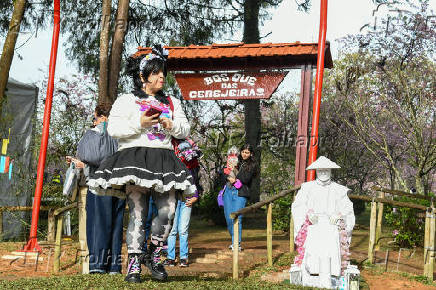 Festa das Cerejeiras no Parque do Carmo