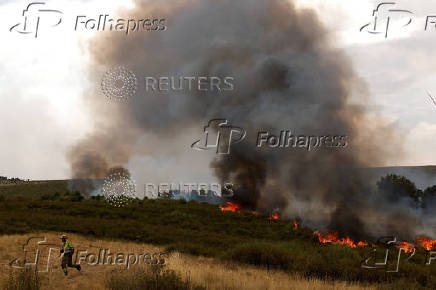 Wildfire on the outskirts of Abejera de Tabara