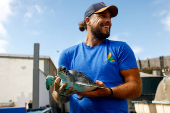 Marine biologist Alejandro Usategui, of the NGO ADS Biodiversity, holds a green sea turtle called Solstice at the Wildlife Recovery Center in Taliarte on the island of Gran Canaria