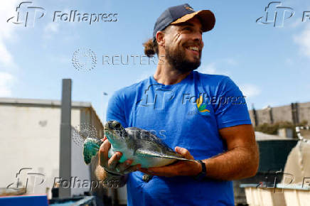 Marine biologist Alejandro Usategui, of the NGO ADS Biodiversity, holds a green sea turtle called Solstice at the Wildlife Recovery Center in Taliarte on the island of Gran Canaria