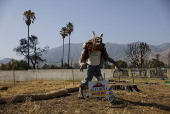 Artist works on new mural for the Altadena community in the months following the Eaton fire