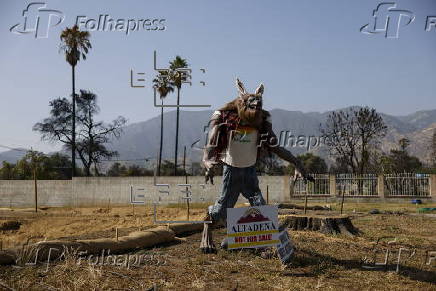 Artist works on new mural for the Altadena community in the months following the Eaton fire