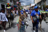 19th Regional Donkey Competition in Moniquira