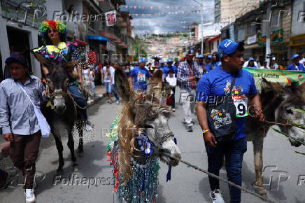 19th Regional Donkey Competition in Moniquira