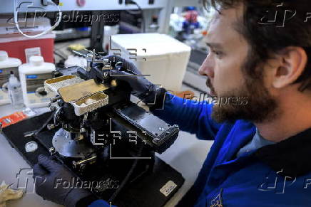 Florida International University's investigation on Alzheimer's disease early detection