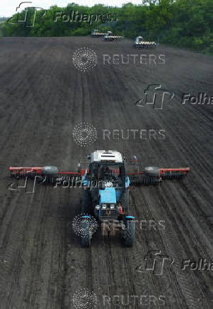 Farmers sow sunflower in Rostov region