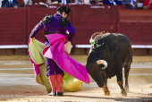 FERIA DEL CABALLO DE JEREZ