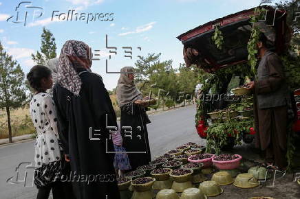 Mulberry seasonal fruit sales