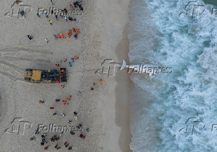 Filhote de baleia Jubarte morto, encalha na praia de São Conrado, no Rio de Janeiro