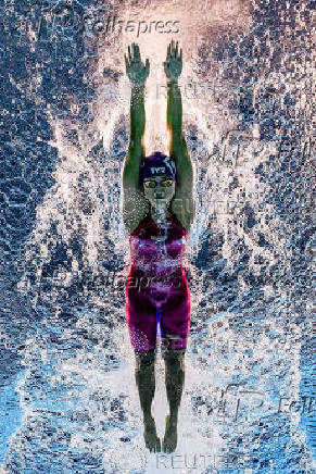 World Aquatics Championships
