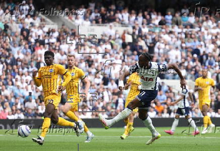 English Premier League - Tottenham Hotspur vs Brighton & Hove Albion