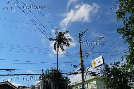 Vento forte atinge São Paulo