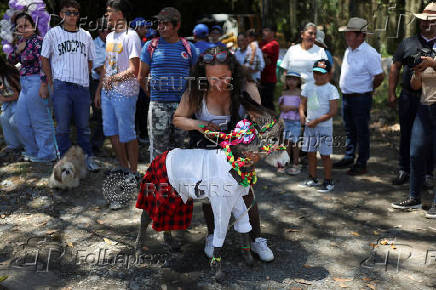 19th Regional Donkey Competition in Moniquira