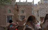 Climate change impacts herders in Yemen