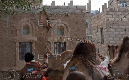 Climate change impacts herders in Yemen
