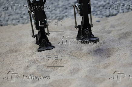 'Face to Face with robotics' technology salon held in Beijing