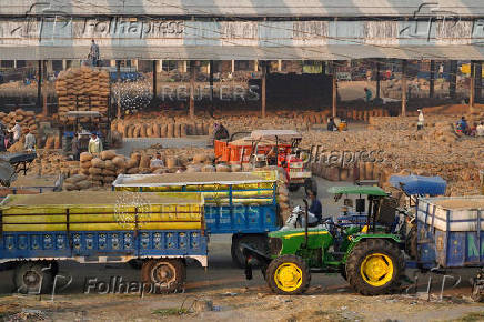 FILE PHOTO: Tractor trolleys loaded with rice crops wait to be unloaded in a grain market in Karnal