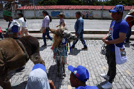 19th Regional Donkey Competition in Moniquira