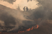 Firefighters tackle the Madre Fire near New Cuyama
