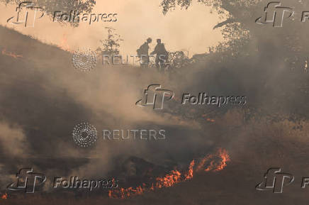 Firefighters tackle the Madre Fire near New Cuyama