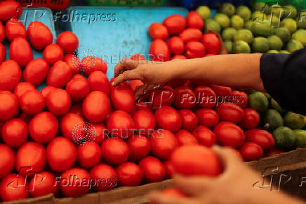 U.S. duties on Mexican tomato imports