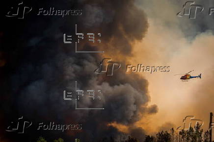 Wildfires in Portugal