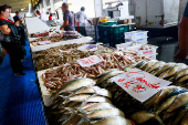 Santa Feira do Peixe no Ceagesp
