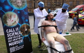PETA protests against animal testing for scientific research in London