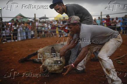 Corridas de toros en el interior de Panamá: cultura, música y valentía