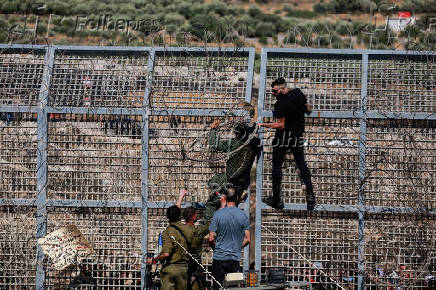 Ceasefire line between Israeli-occupied Golan Heights and Syria