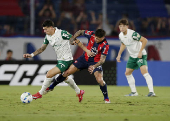Copa Libertadores - Group Stage - Cerro Porteno v Palmeiras