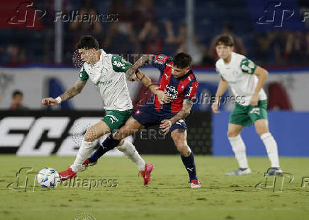 Copa Libertadores - Group Stage - Cerro Porteno v Palmeiras