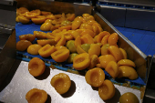 Trump tariffs worry Greek peach producers