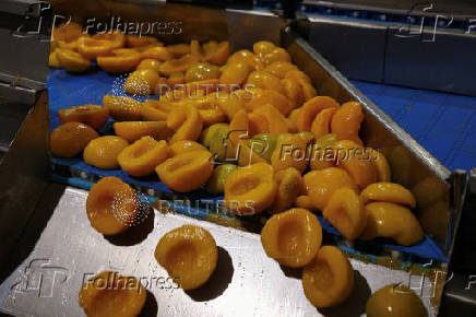 Trump tariffs worry Greek peach producers