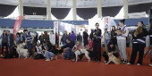 Pet Expo 2025 in Bucharest