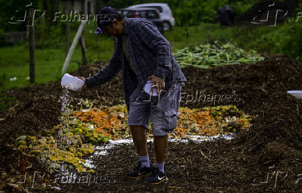 Galinhas se alimentam de restos em leira de compostagem em SJC