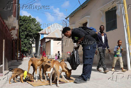 Somali man defies taboo to care for Mogadishu's stray dogs and cats