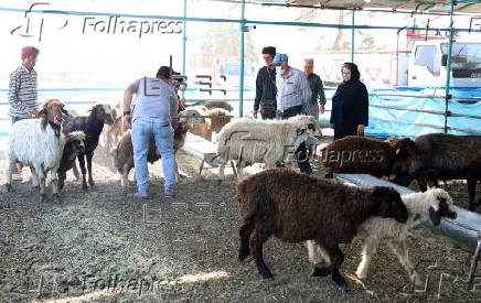 Eid al-Adha celebration in Iran