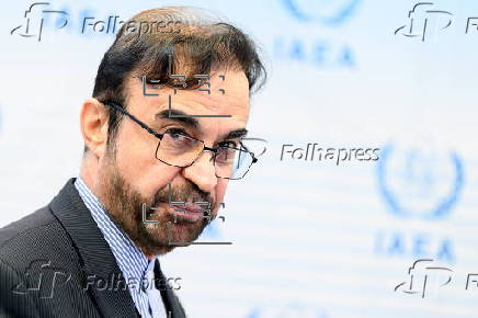 IAEA board of governors meets in Vienna