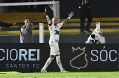 Brasileiro Championship - Santos v Internacional