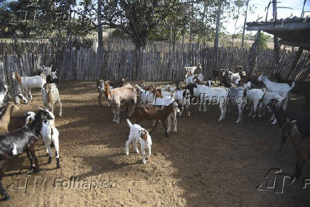 Agropecuaria