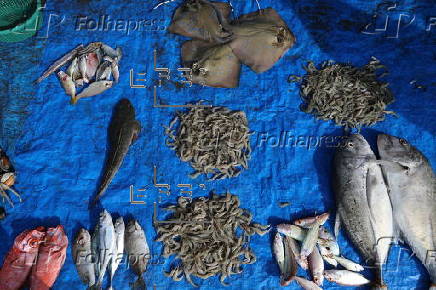 Daily life of fishermen in a traditional fishing port