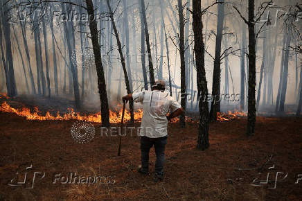 Wildfire in Portugal