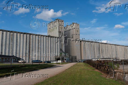 Farmers in U.S. heartland, where ties to wheat run deep, question crop's future
