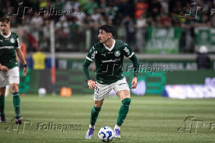 PALMEIRAS-GREMIO: CAMPEONATO BRASILEIRO SERIE A 2025