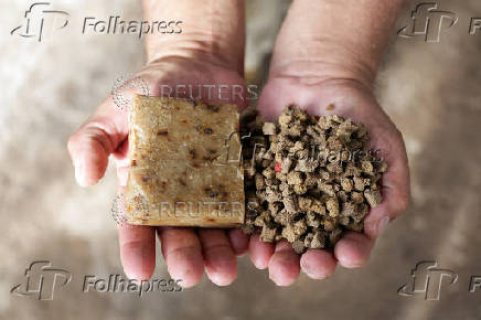 Honduran entrepreneurs turn cooking oil into dog food, soap