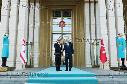 Turkey's President Tayyip Erdogan shakes hands with Turkish Cypriot leader Tufan Erhurman during a welcoming ceremony at the Presidential Palace in Ankara