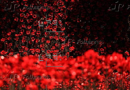 Ceramic poppy display at the Tower of London
